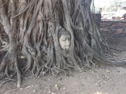 Wat Maha That