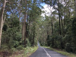 Way to Pebbles Beach