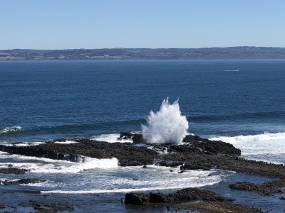 Phillip Island