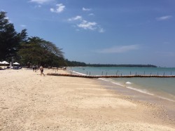 The Beach